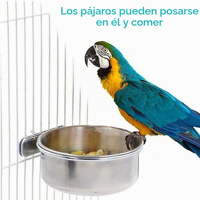 Foto 4 de 6 de 2 Piezas de Comedero para Pájaros de Acero Inoxidable, Tazón para Alimentar con Recipiente para Colgar