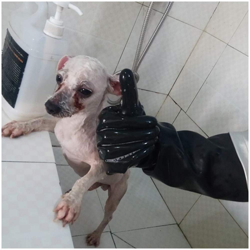 Guanti Impermeabili per la manipolazione degli Animali - Guanto Anti-graffio - per Il Bagno degli Animali Domestici, l'alimentazione, l'addestramento del Cane, Gatto, Uccello, Serpente, Pappagallo
