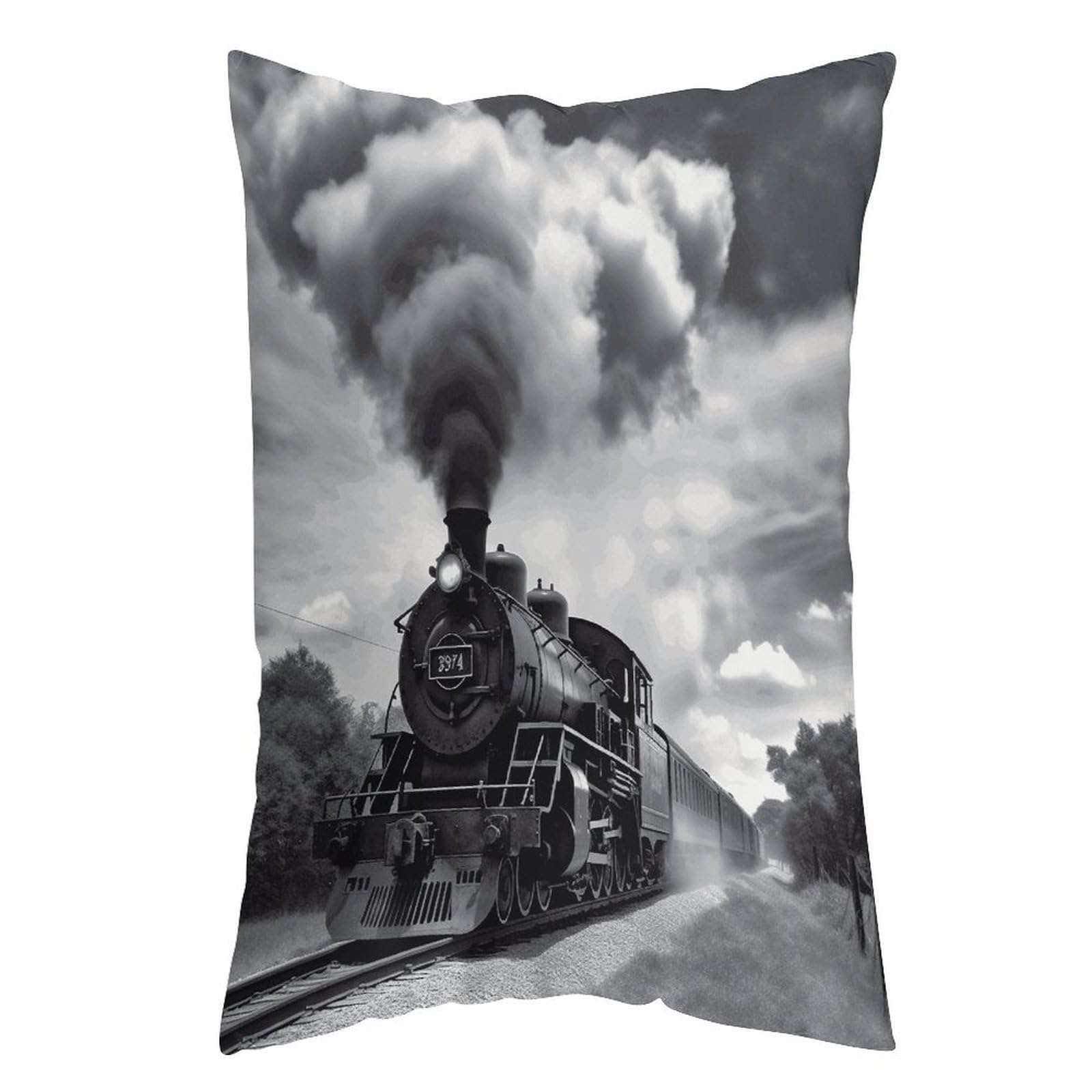 LDGSUPH Steam Train Clouds Pillow Cases Soft Pillowcase with Invisible Zipper Wrinkle Resistant Pillow Covers Breathable Removable Pillow Protector for Bed Sofa Car 16 "x24