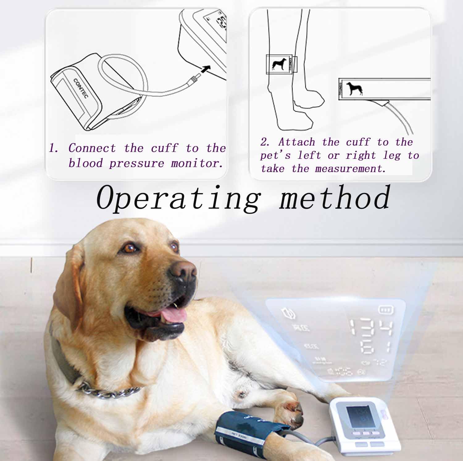 Sfigmomanometro Digitale Veterinario, Attrezzatura Per La Cura Degli Animali Per La Misurazione Della Pressione Arteriosa Con Schermo LCD E 100 Set Di Memoria Dati, 1 Tasto Operativo E Chip Alto