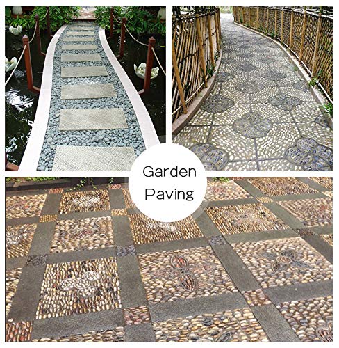 OUPENG Aquarium Gravel River Rock - Natural Polished Decorative Gravel, Small Decorative Pebbles, Mixed Color Stones,for Aquariums, Landscaping, Vase Fillers 2 Pounds (32-Oz)…