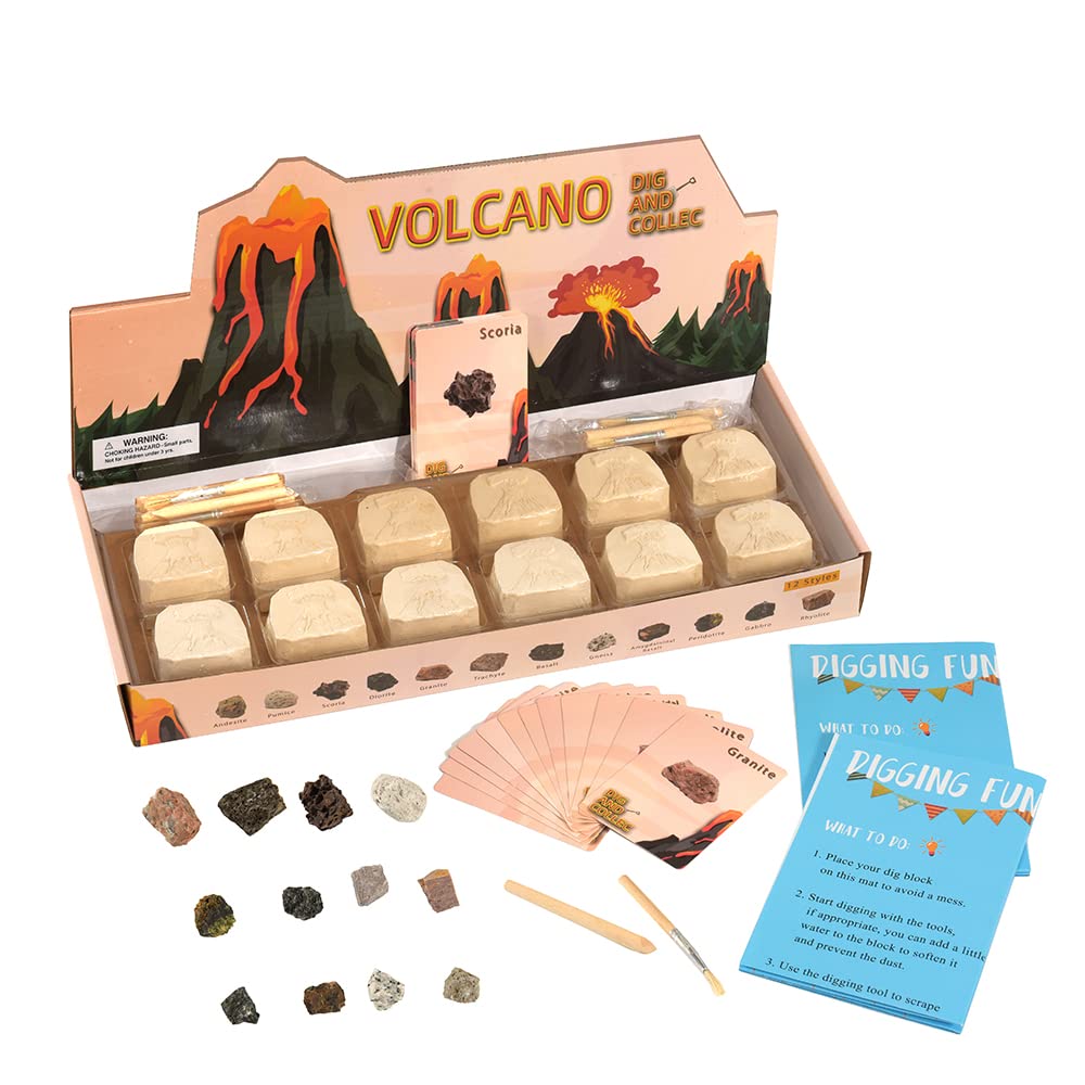 Volcanic Rock Dig up Kit, Archaeology Geology Learning Party Favors Gifts for Kids Boys & Girls Ages 6 7 8-12 Year Old