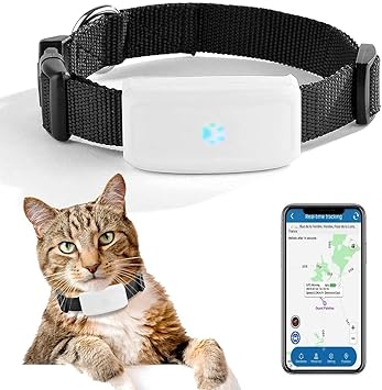 Gps for cats in india Clearance