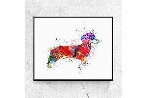 Dachshund Delights: Adorable Dog Decor to Brighten Your Space