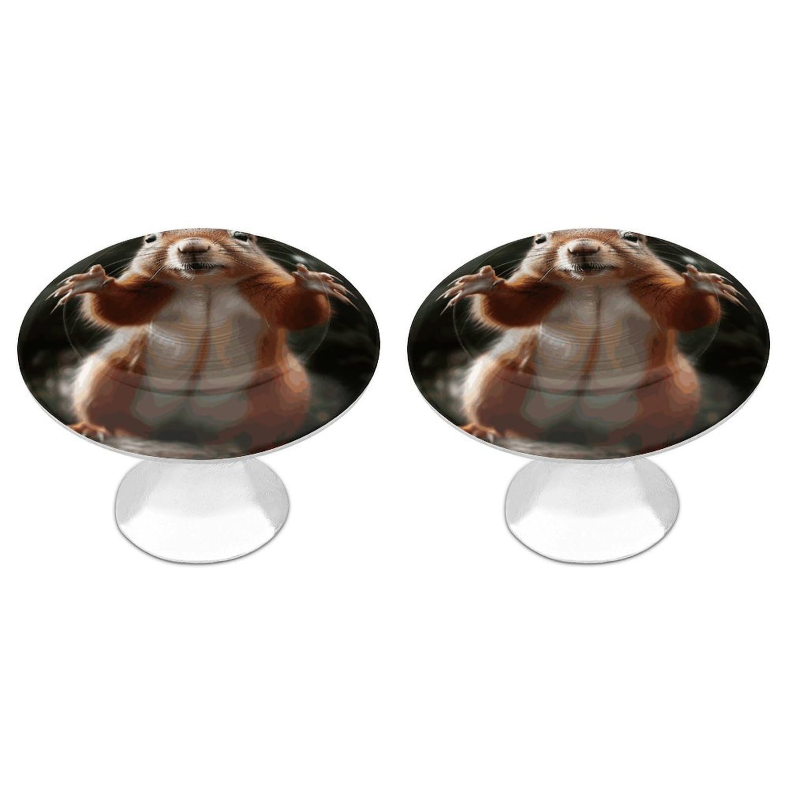 Fekiloot White Squirrel Funny Animal Cabinet Knobs For Kitchen Ornament, Round Zinc Decorative Drawer Pulls For Cabinets Trendy, Dresser Drawers Pulls Bathroom Dresser Knob With Screw