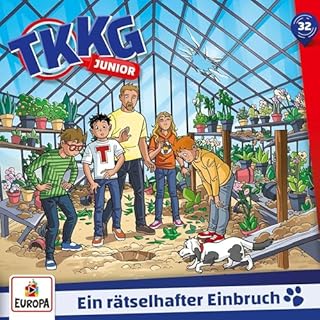 Ein r&auml;tselhafter Einbruch Titelbild
