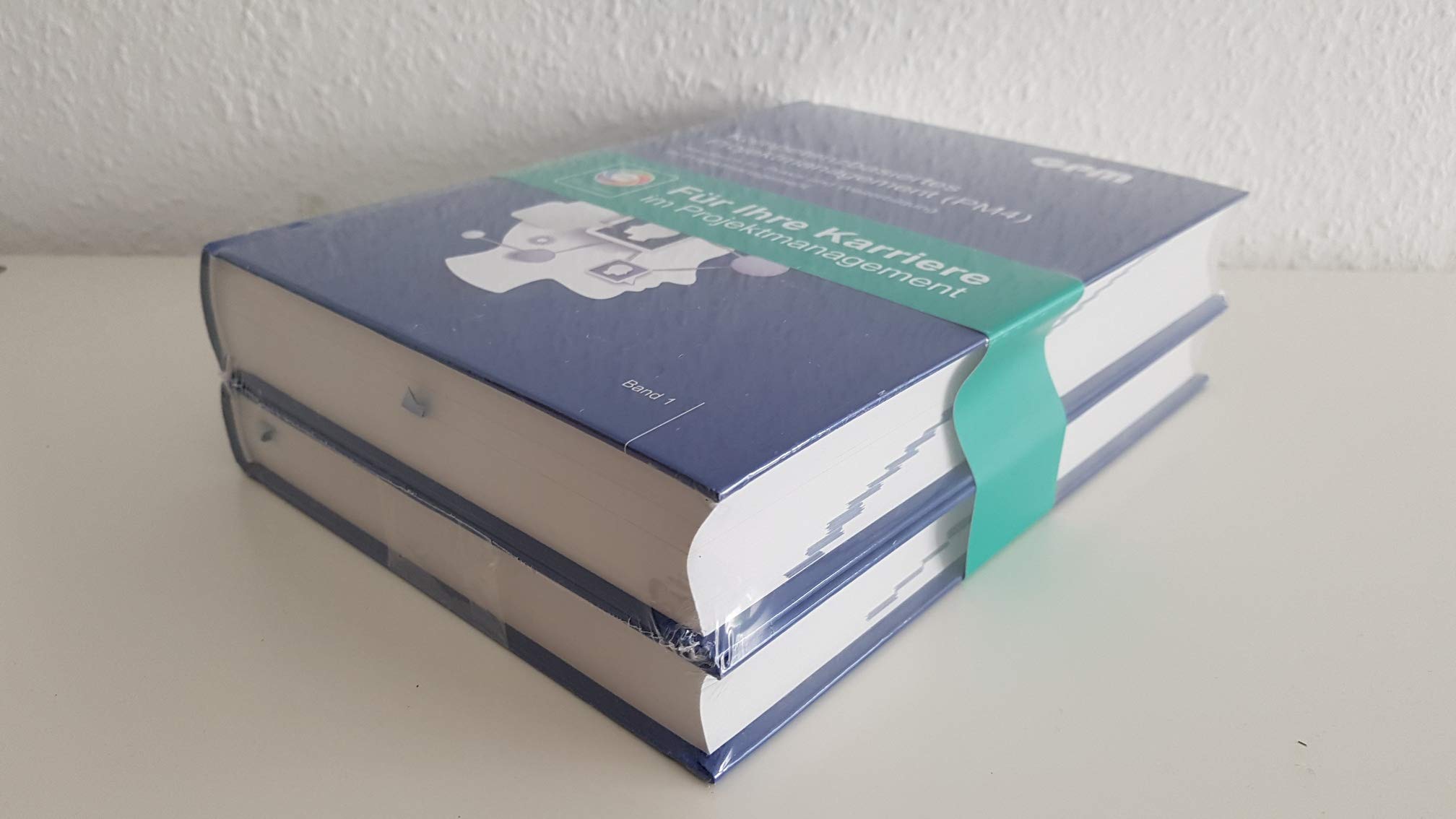 Kompetenzbasiertes Projektmanagement (PM4): Handbuch für Praxis und Weiterbildung im Projektmanagement