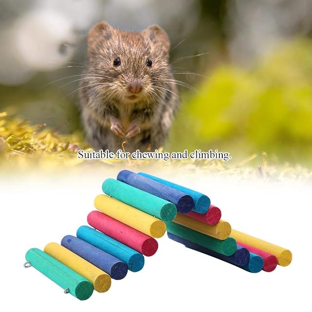 Foto 5 de 7 de Escaleras para hámster, juguete de escalada DIY en madera flexible, puente de ocultación para roedores, ratas