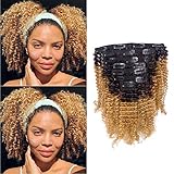 Caliee Afro Kinky Curly Clip in Hair Extension Human Hair Double Weft Unprocessed Remy Natural Black Hair and Ombre Brown Blonde T#1B/27 Clip ins Hair,16 Inch