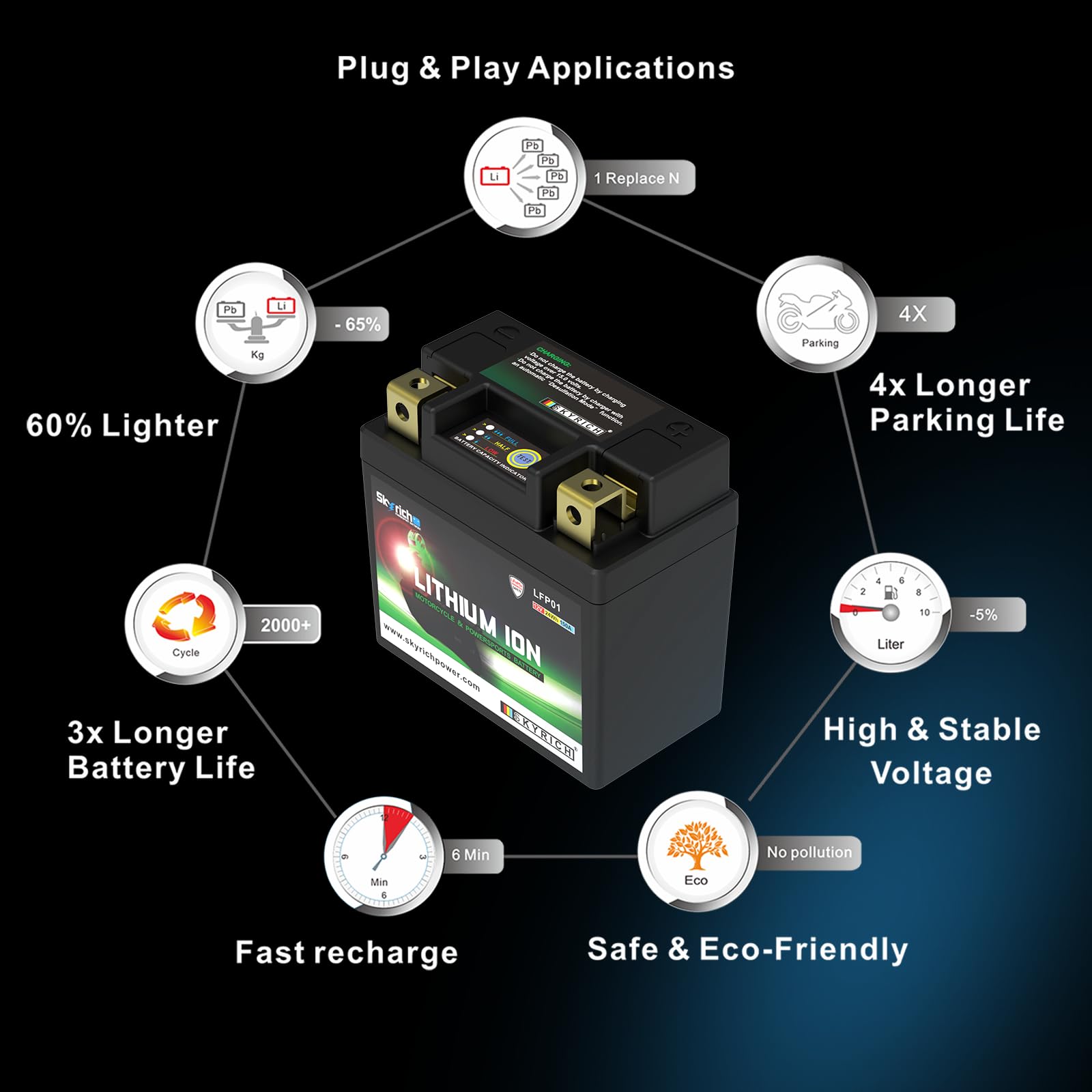 Batterie Skyrich Lithium LFP01
