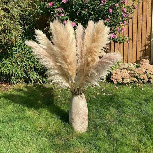 Ramo de flores secas Pampas Grass 10 piezas natural miniatura 2