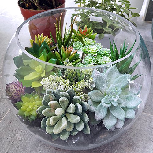 Supla 14 Pcs Artificial Succulents Plants In Bulk Assorted Unpotted Hanging String Of Pearls Cactus Aloe Picks Small Fake Succulents For Wreath Centerpiece Floral Arrangement Indoor Outdoor Home Décor #TOP1