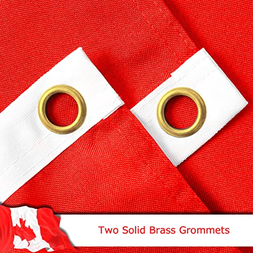 Drapeau canadien anti-décoloration robuste avec œillets pour mât - 3