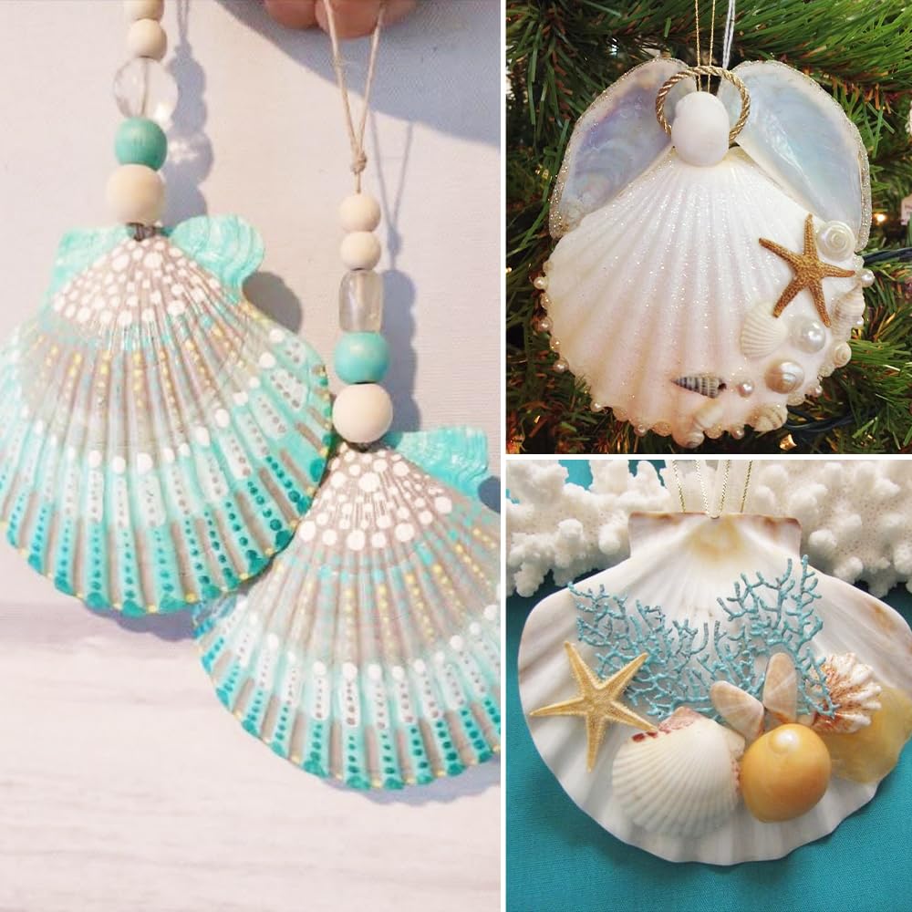 12 białych muszelek, 9-10 cm, duże muszle, muszle, naturalne muszle, do rzemiosła DIY, dekoracja kuchni, dekoracja przekąsek, dekoracja akwarium, na plażę