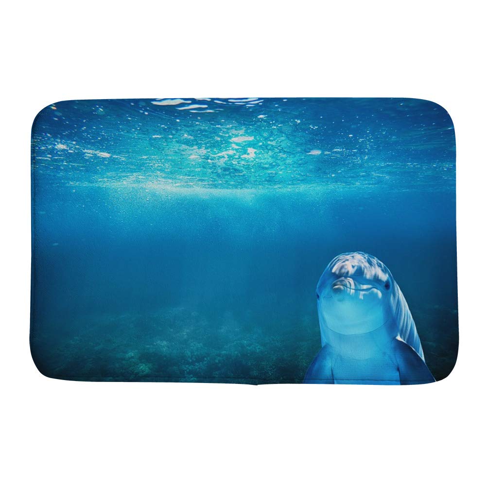 Tapis de bain dauphin bleu en velours isolant contre le sol froid