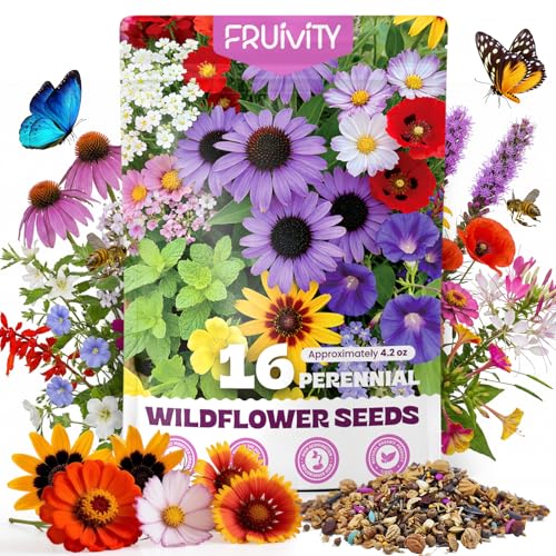 200,000+ Wildflower Seeds Bulk (4oz) – 16 Varieties Perennial &