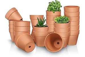 3 Inch Terracotta Clay Pots for Greenery and Home Decor