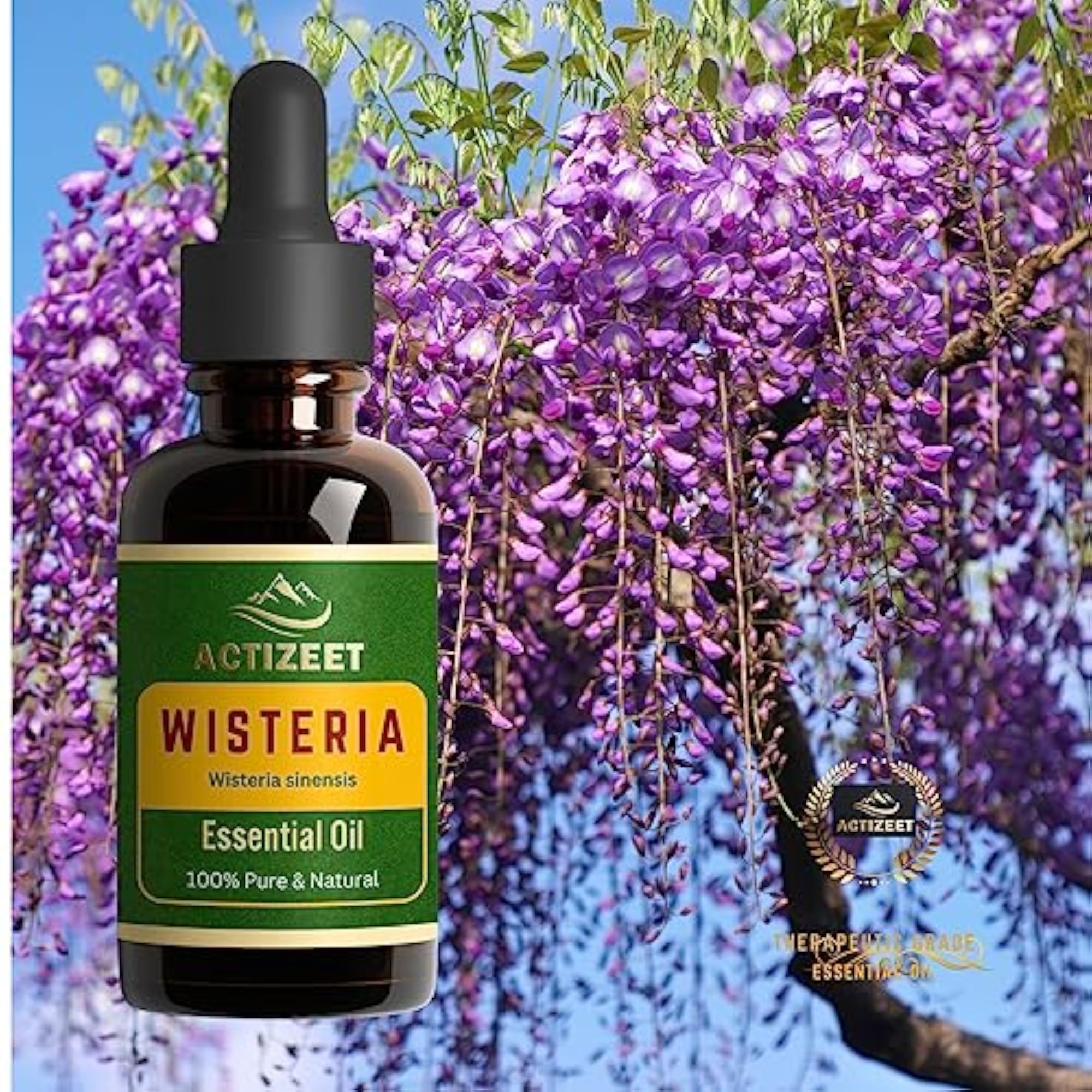 Wisteria Essential Oil by ACTIZEET, 15 ML
