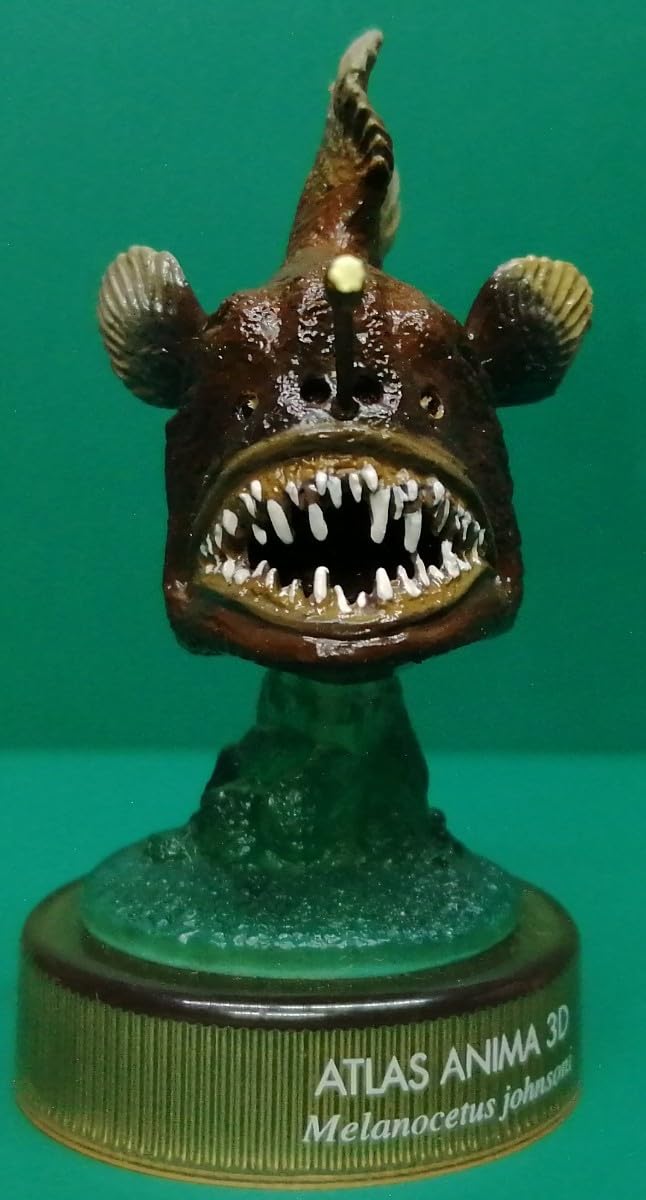 Amazon | ペリカンアンコウ 世界博物画立体図録 あんこう アンコウ