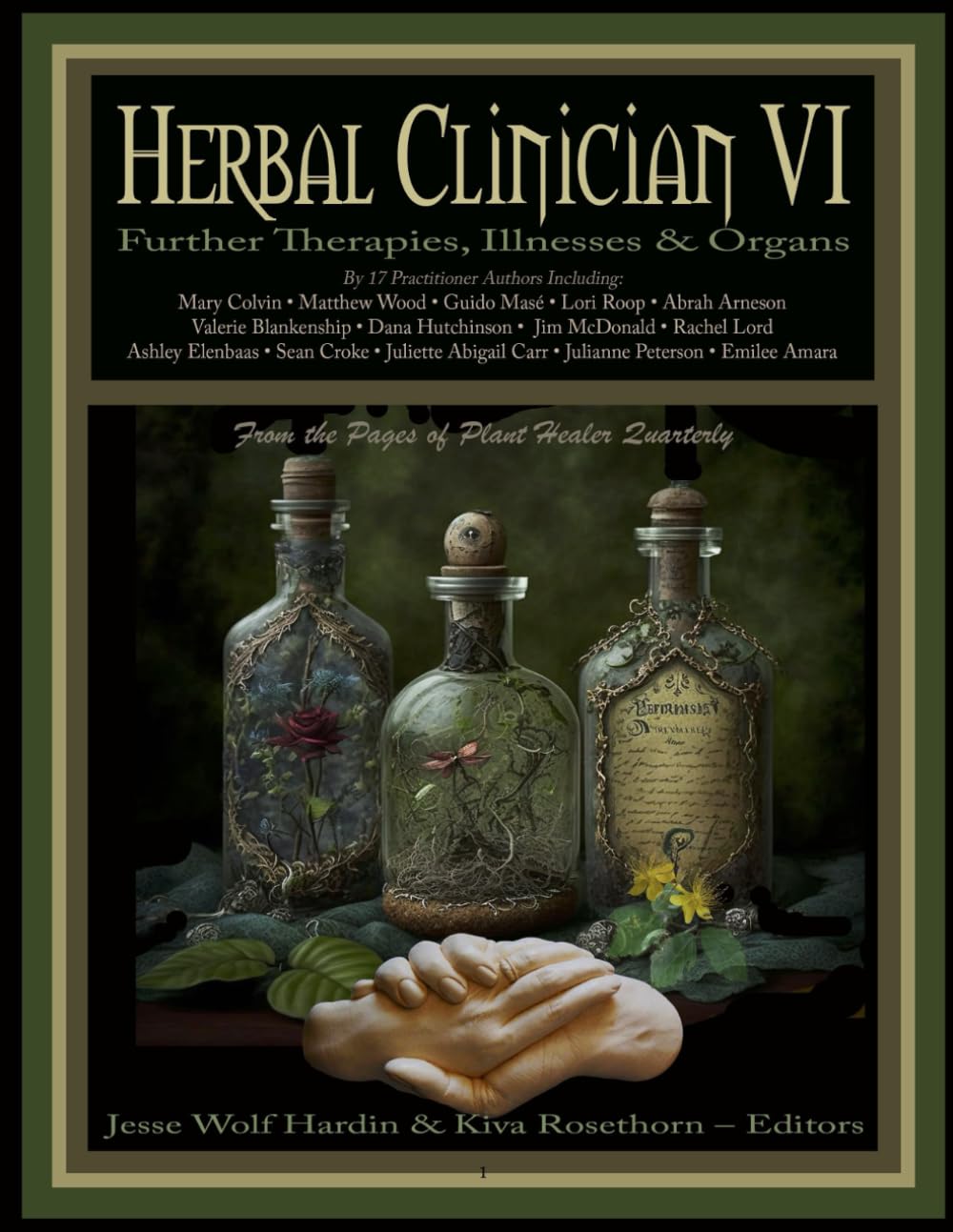 Herbal Clinician VI: Further Therapies, Illnesses, & Organs      Paperback – December 26, 2023