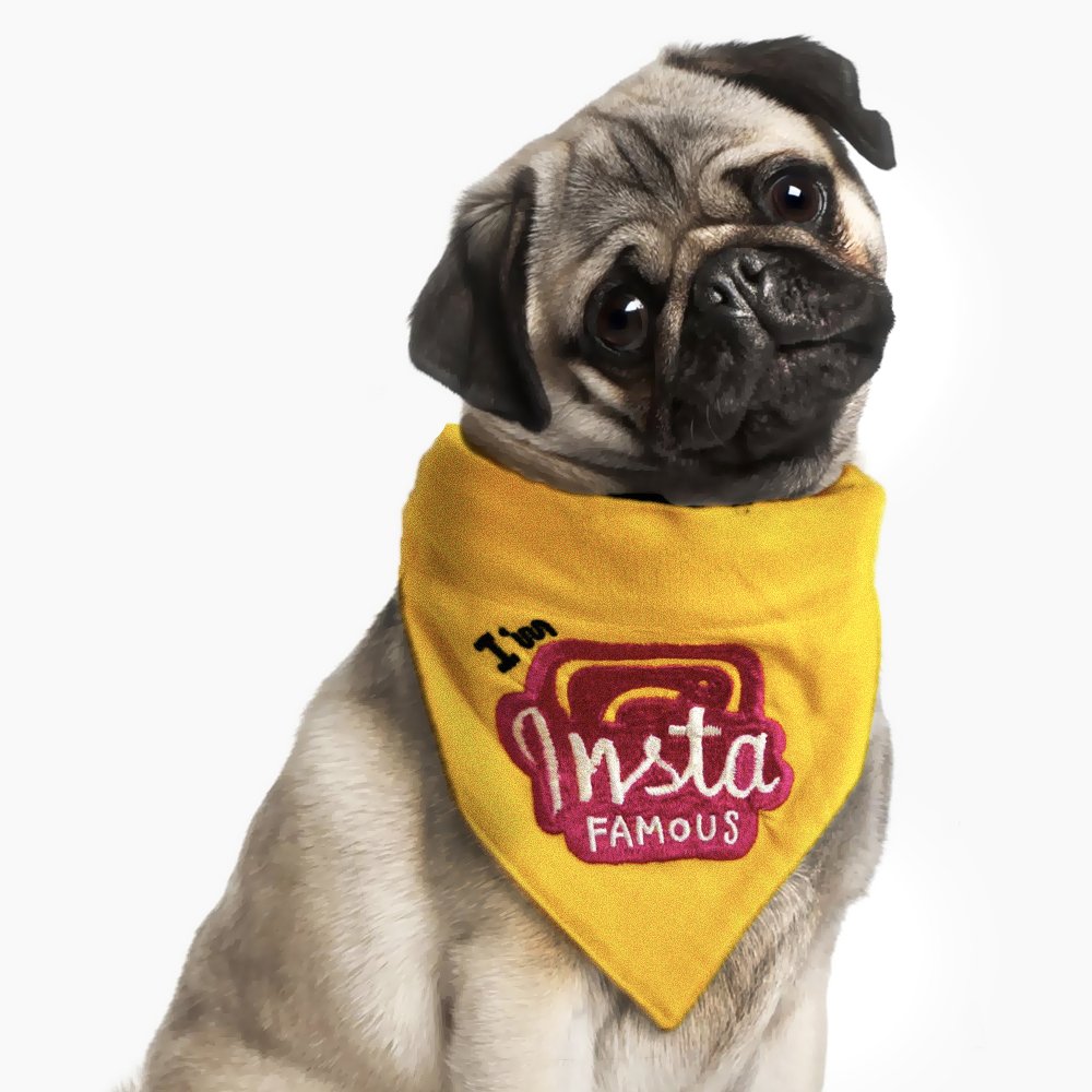That Dog In Tuxedo Im Insta Famous Dog Bandana/Dog Scarf with Adjustable Dog Collar (Size - XL) (B07BFVPC82) Amazon Price History, Amazon Price Tracker