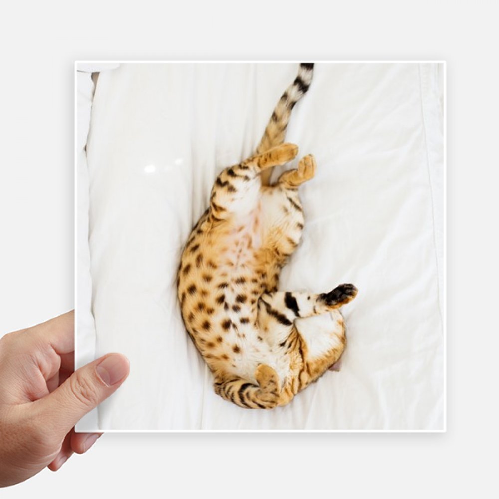 Pegatinas de gato ocelote de 20cm para decorar tu moto