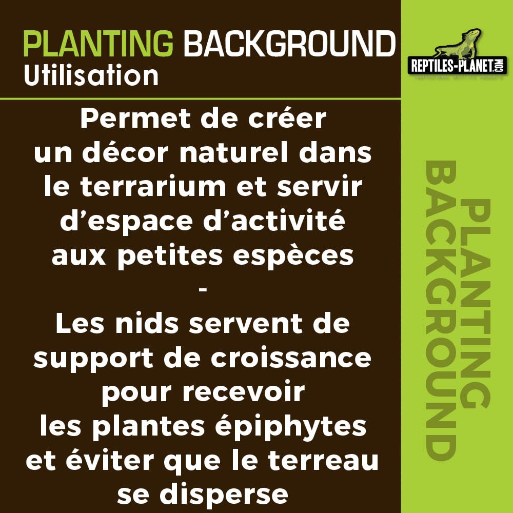 Rettili Planet Decorazione di Fondo in Cocco per terrario per Planter 40 x 40 x 1 cm