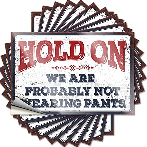 Car Accessories Hold On We're Probably Not Wearing Pants Funny Sticker 10 Pcs Car Sticker Pack Tool Box Stickers(12X18CM)