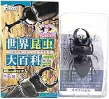 世界昆虫大百科 第3弾 全7種セット 楽天市場】【7SET】 エフトイズ 世界昆虫大百科 第3弾 きれいな