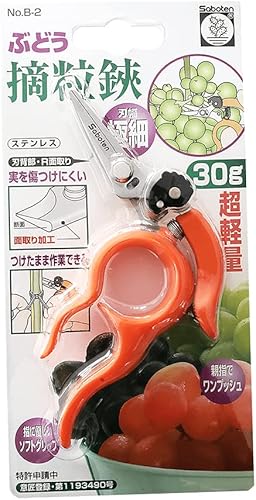 Miniatura 4 de Tijeras de uva B-2