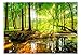 murando Fotomurales 400x280 cm XXL Papel pintado tejido no tejido Decoración de...