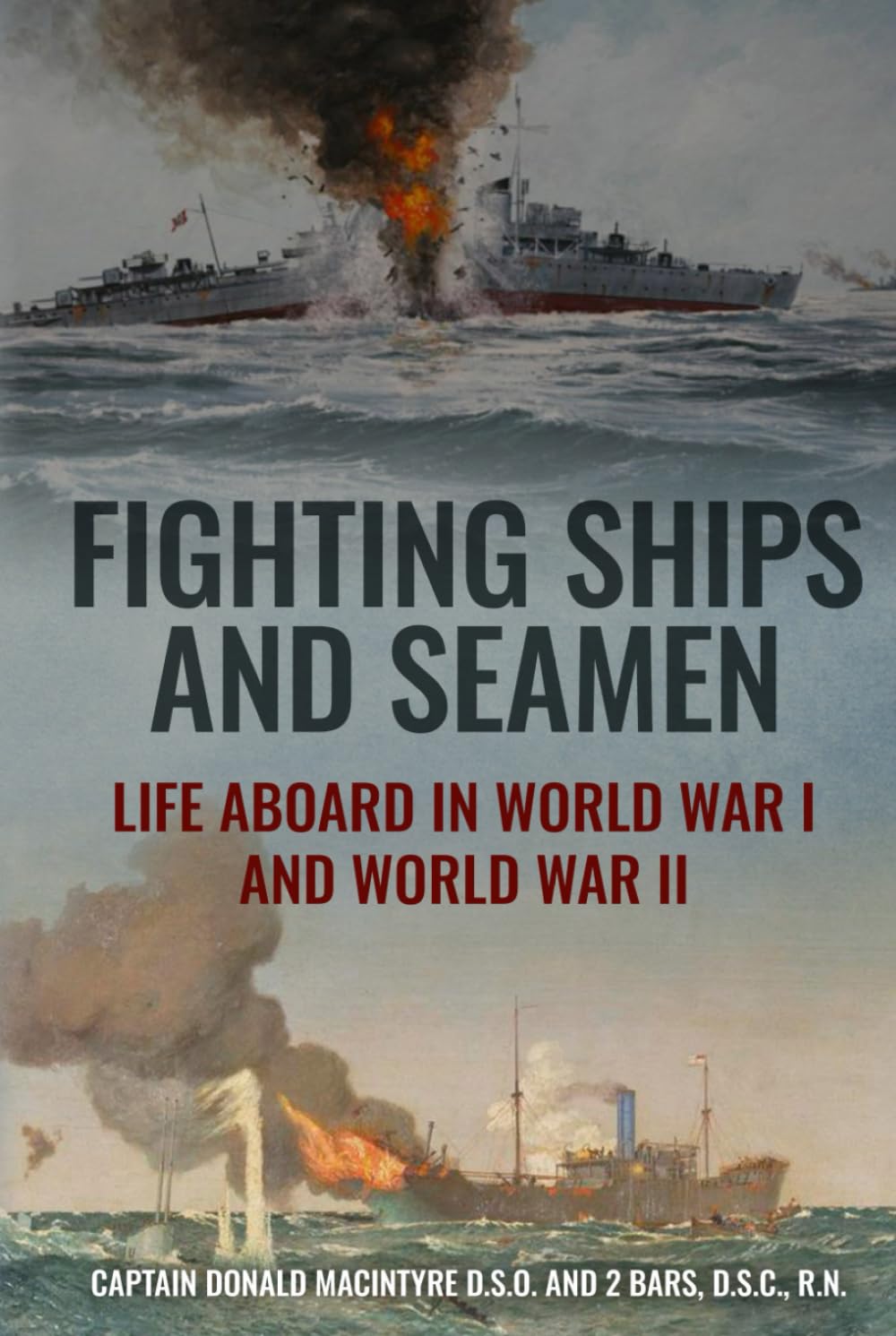 Fighting Ships and Seamen: Life Aboard in World War I and World War II (The Evolution of Naval Power)