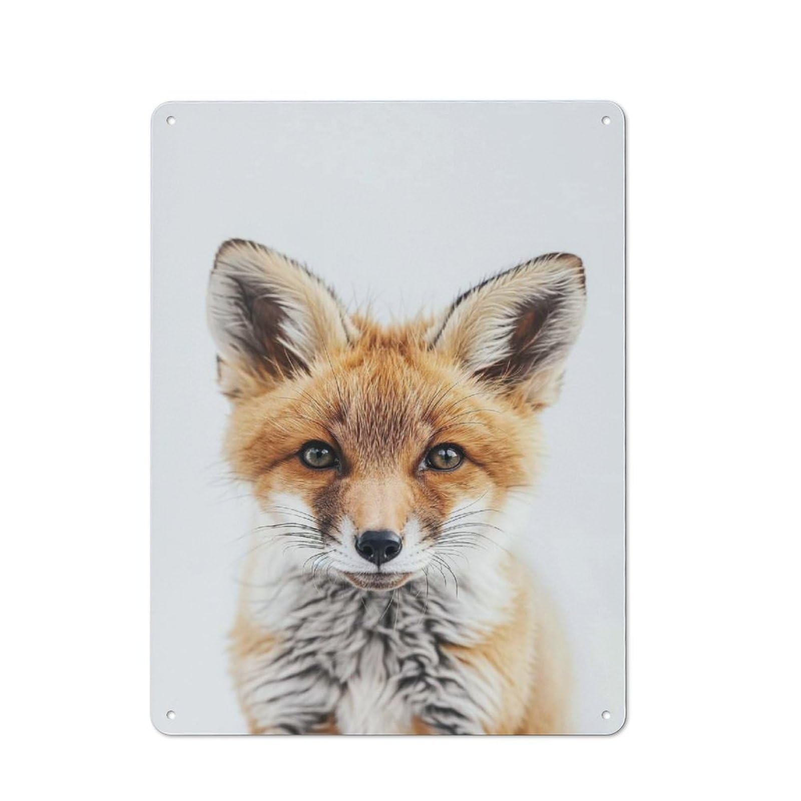 Junmoney Style-19 Loft Style Metal Wall Art Sign 40X30cm Featuring Cute Baby Fox, Urban Room Decor For Loft, Studio, Office Or Creative Room