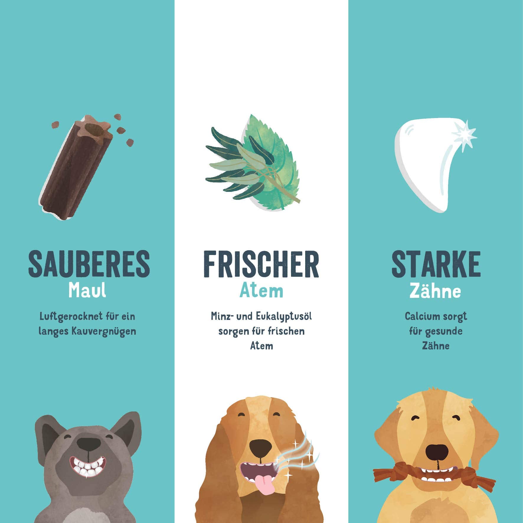 Edgard & Cooper Snacks 56 Dental Stick für große Hunde Natural 8x7 Kausticks Zahnpflege Eukalyptus & Apfel, Einmal täglich, Kalorienarm, Langes Kauen Effektiv, Frischer Atem