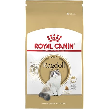ragdoll 10kg