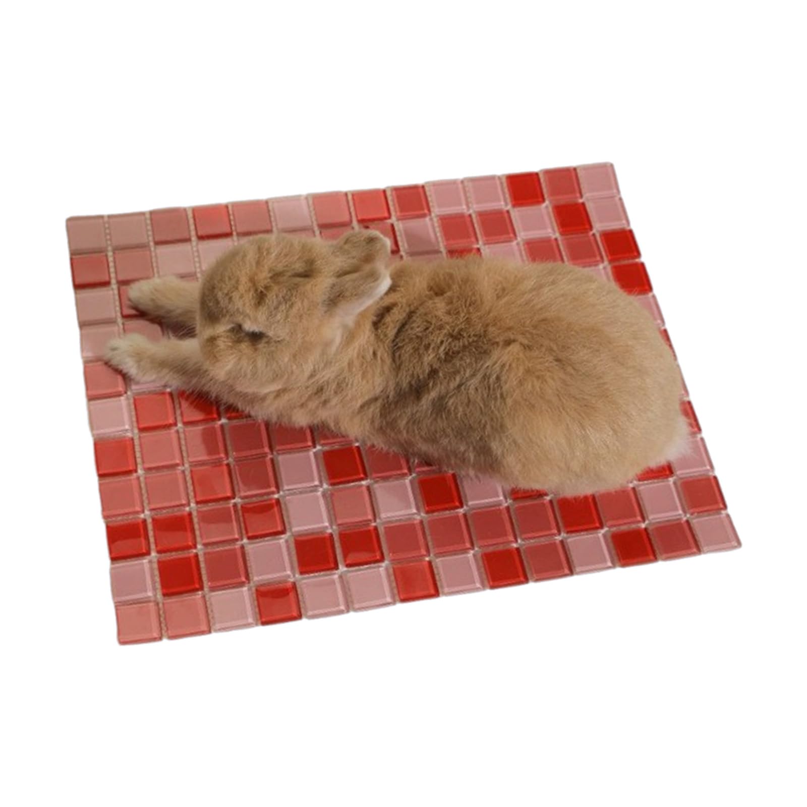Petit lit pour animal de compagnie idéal pour les siestes d'été au frais