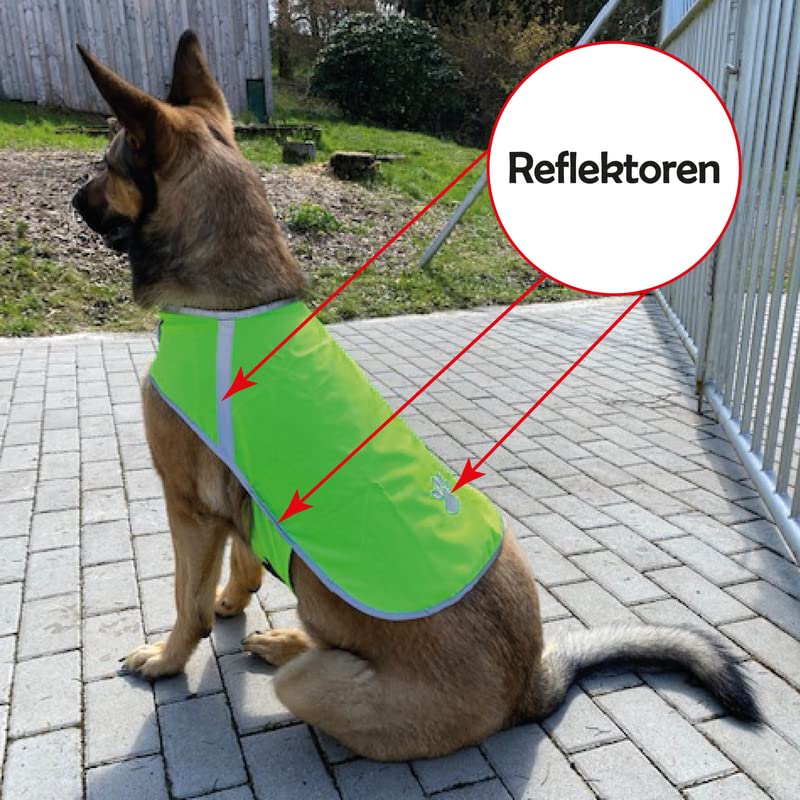 Bestlivings Reflektierende Hundewarnweste - Robust, Größenverstellbar, Reflektorweste mit Futterstoff, Sicherheitsweste für Hunde, Jacke Mantel in Grün, Größe L, Polyester