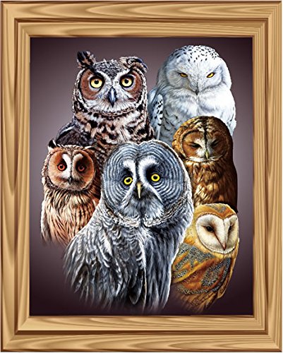 Tripstan 3D Home Wall Art Decor Lenticular Pictures, Owls Collection Holographic Flipping Images, 12X16 Inches Animal Poster Painting, Without Frame, Cute Owls #TOP6