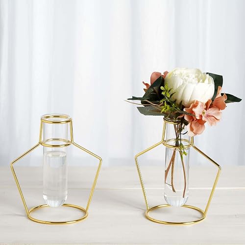 Efavormart Set of 2-6.5" Vase Shaped Gold Metal Flower Stand with Clear Glass Test Tube Vase, Geometric Vase for Wedding, Birthday, Party, Events, Home, Table, Centerpieces Decorations