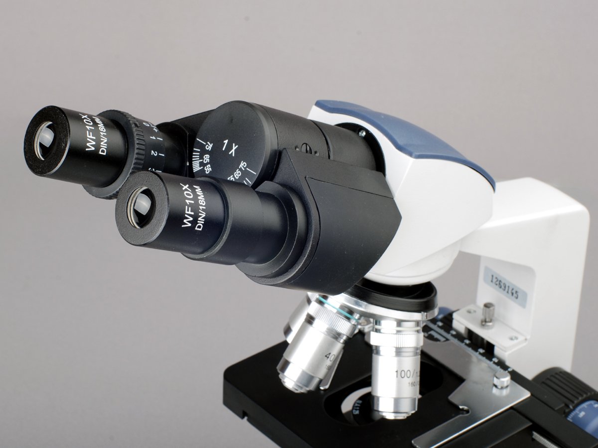 AmScope B120B-E 40X-2000X LED Digitales Binokular-Verbundmikroskop mit 3D-Bühne und USB-Kamera