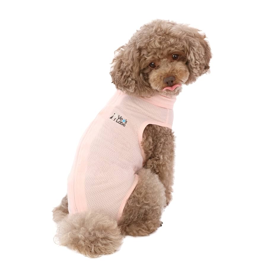 Amazon | 術後服 犬用 ベッツウェア (M, 女の子用 ピンク