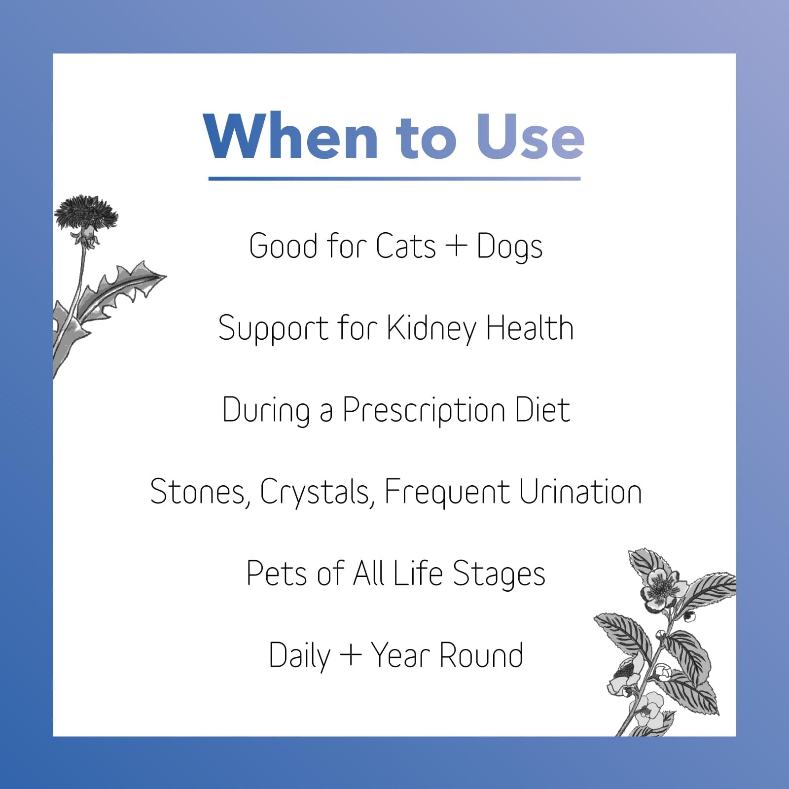 Amazon.com : InClover Kidney Bladder and Urinary Health Supplement for Dogs & Cats - with Resveratrol (Found in Cranberries), L-Carnitine & D-Mannose Supports a Healthy Urinary Tract and Optimal Renal Amazon.com : InClover Kidney Bladder and Urinary Health Supplement for Dogs & Cats - with Resveratrol (Found in Cranberries), L-Carnitine & D-Mannose Supports a Healthy Urinary Tract and Optimal Renal