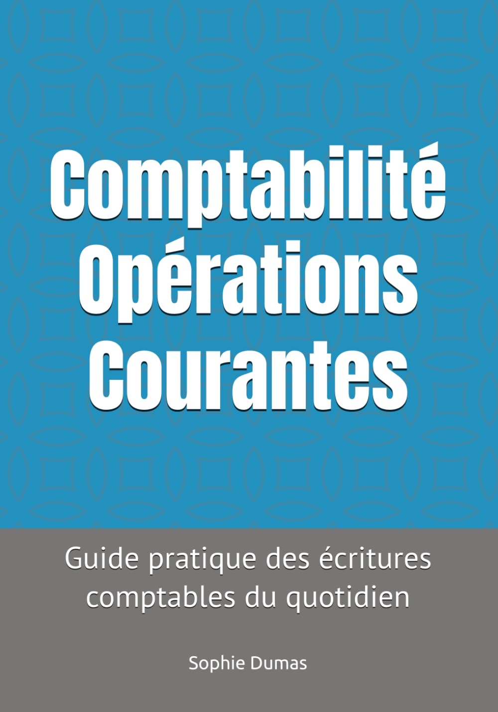 Comptabilité Opérations Courantes: Guide pratique des écritures comptables du quotidien - TPE, PME et indépendants