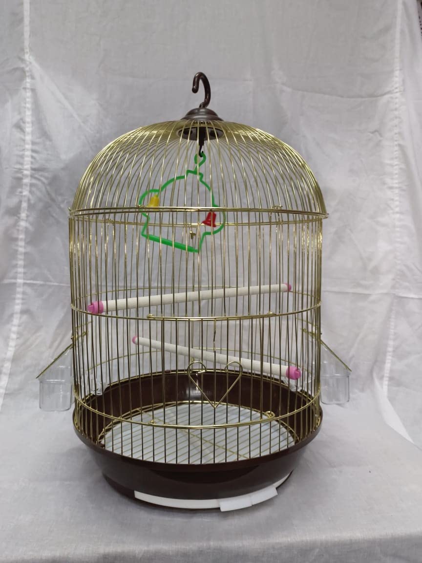 CENTRAL FISH AQUARIUM Bird Cage For Budgies,Finches,Love Birds,Cuttlefish Boneholder,Cuttlefish Bone,2 Plastic Perch,2Cups,Swing (H: 18 Inches/Circumference : 12 Inches)-(004 Gold) Small 4