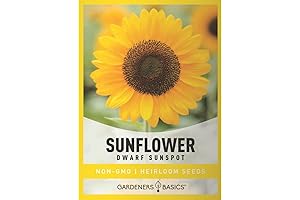 Gardeners Basics, Dwarf Sunflower Seeds for Planting Flowers - (Yellow Sunspot)