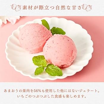 5kgプレート8枚セット【いちご】 イチゴパック STR-R3個セットパック 20枚(CP007636): 包装・販促資材