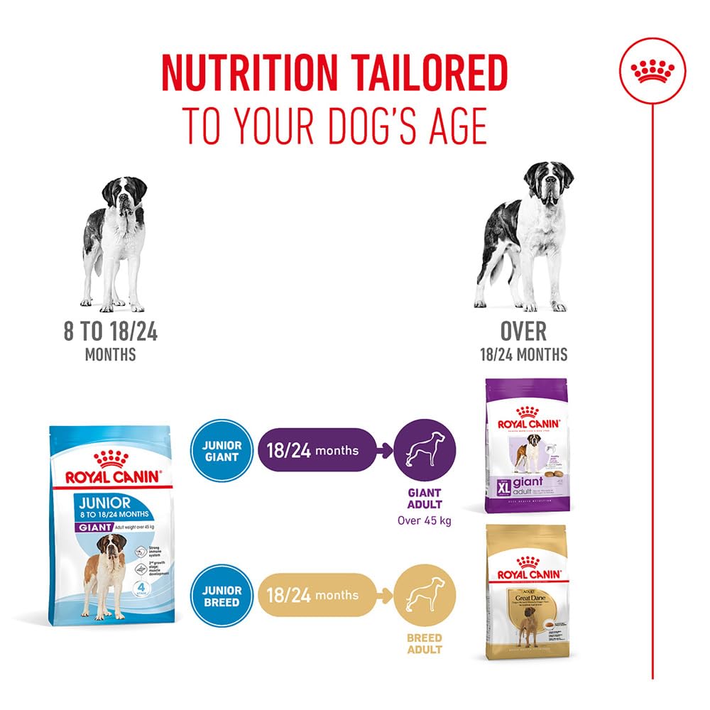 Royal Canin Giant Junior 15 kg : Amazon.co.uk: Pet Supplies