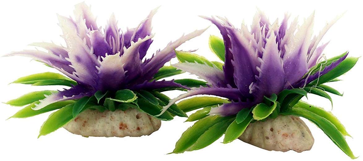 emily pets Decorative Artificial Non-Toxic Plastic Aquarium Flowers Plant for Fish Tank Combo Pack of 2 (Purple) (B08M9YDXXV) Amazon Price History, Amazon Price Tracker