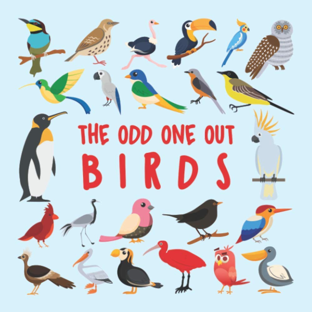 The odd one out - Birds: Funny learning games book for 2-4 years old kids