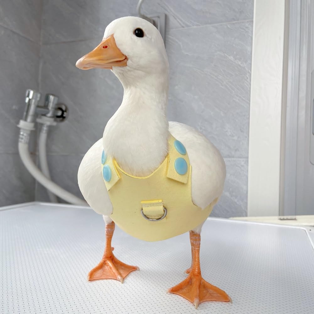 Adjustable Duck Harness, pet Duck Outdoor Walking Safety Belt, Adjustable Elastic Outdoor Training Traction Rope, Used for Ducks, Chickens, Geese and Poultry (4.41LB-6.06LB)